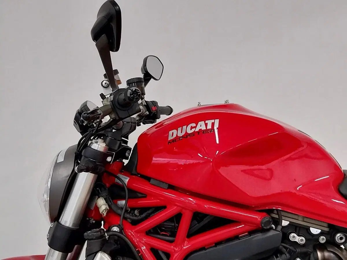Ducati Monster 1200 (2017 - 21) (9)