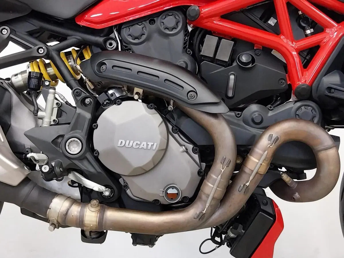 Ducati Monster 1200 (2017 - 21) (14)