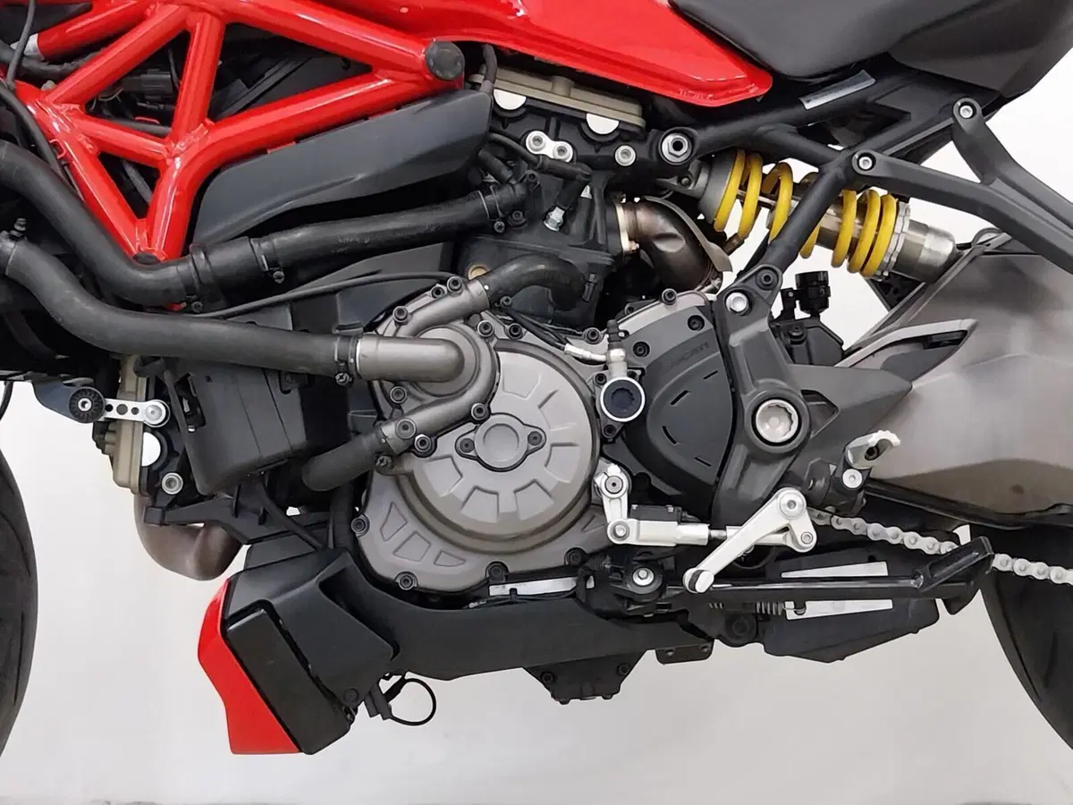 Ducati Monster 1200 (2017 - 21) (17)