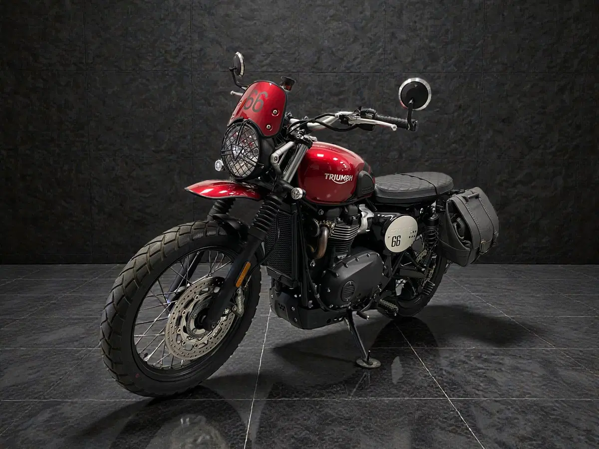Triumph Scrambler 900 (2023 - 25) (6)