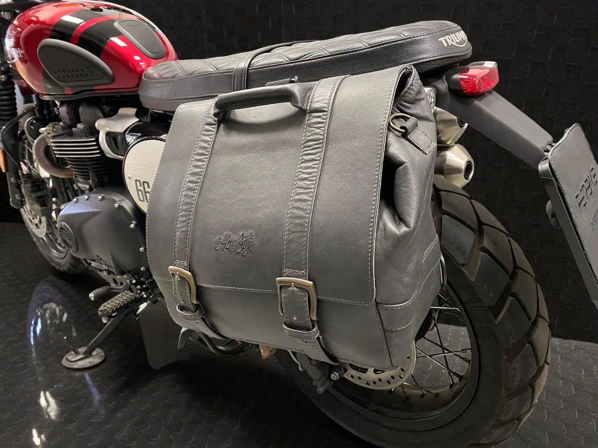 Triumph Scrambler 900 (2023 - 25) (7)