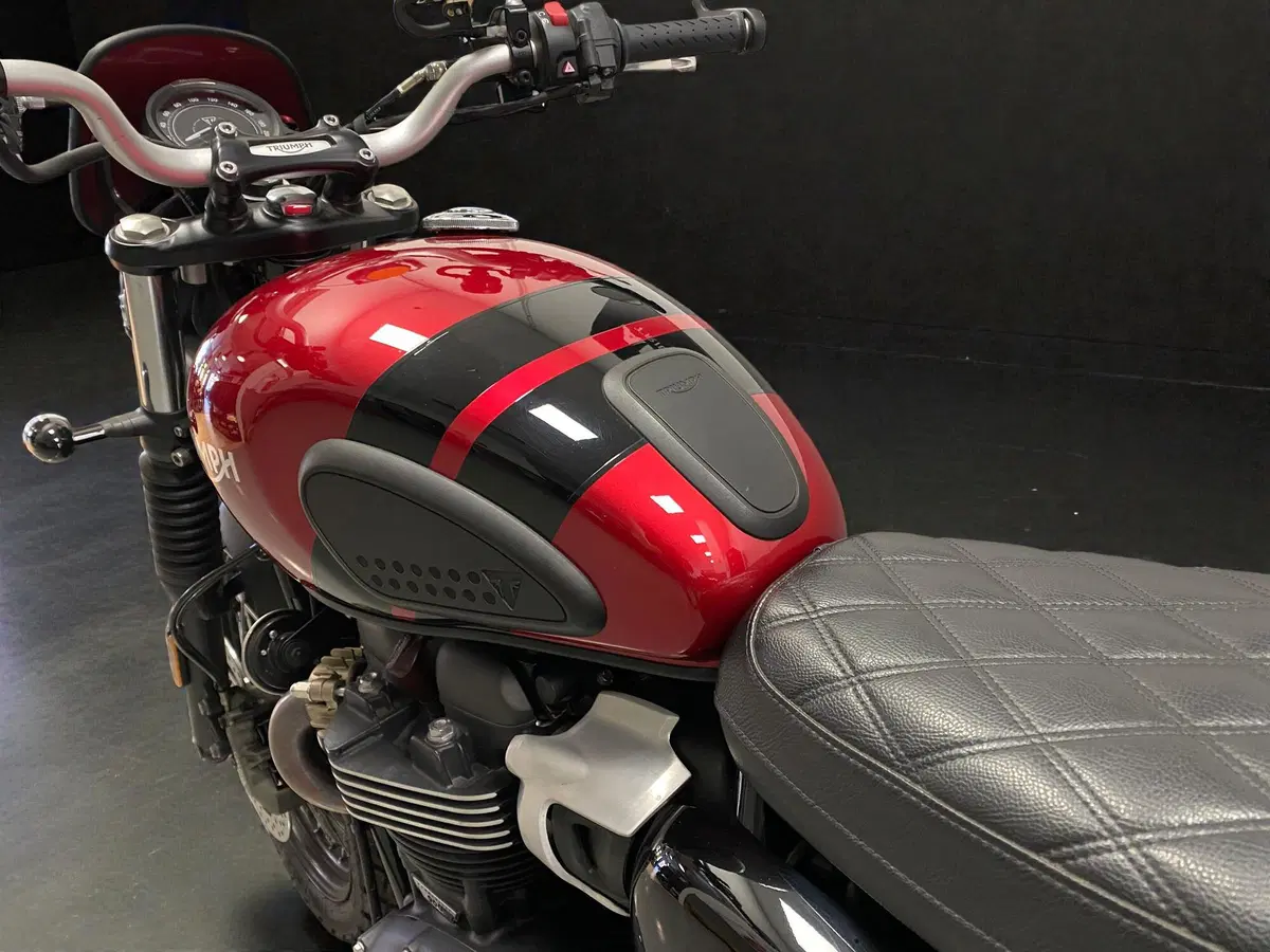 Triumph Scrambler 900 (2023 - 25) (9)