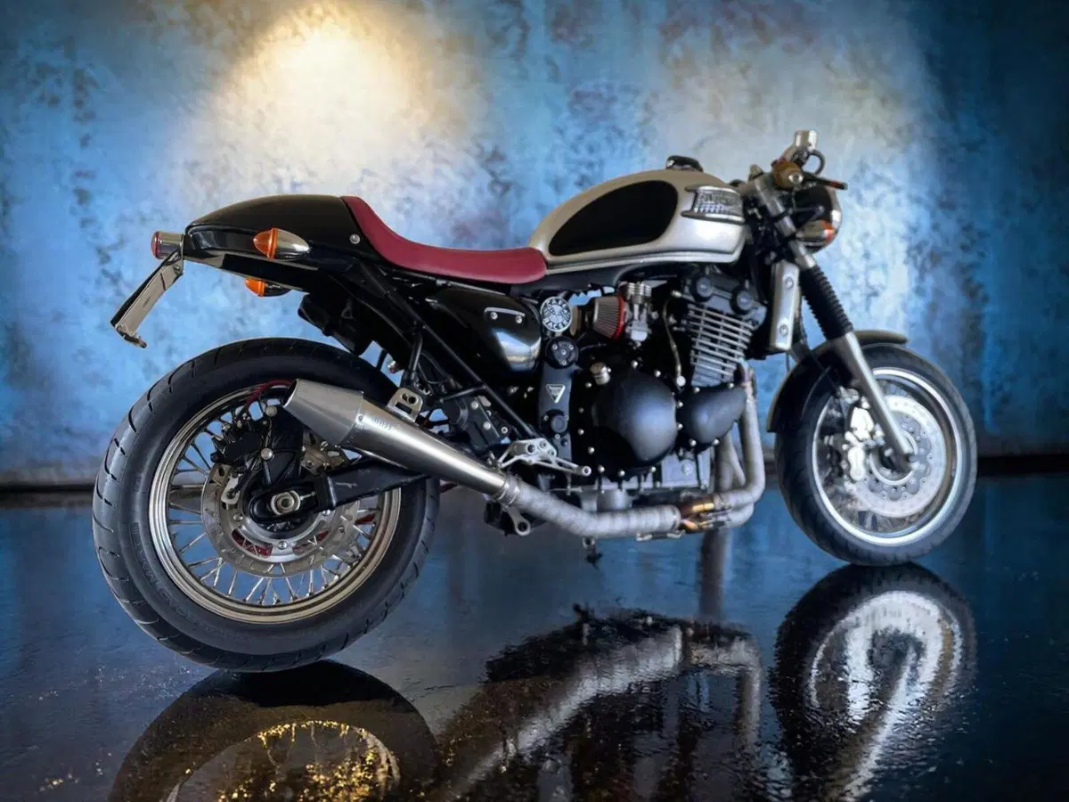 Triumph Thunderbird 900 Sport (2003 - 04) (6)