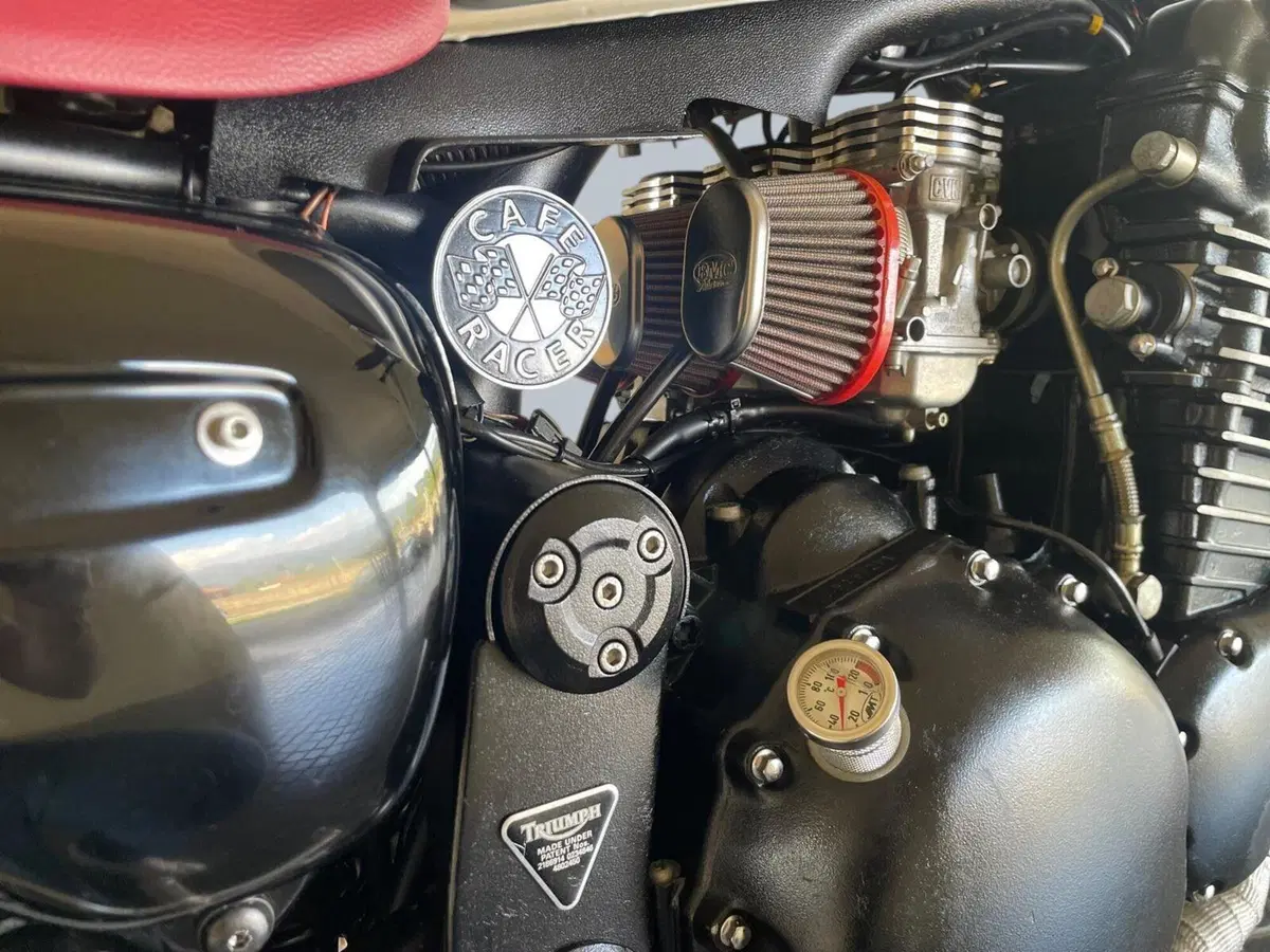Triumph Thunderbird 900 Sport (2003 - 04) (7)
