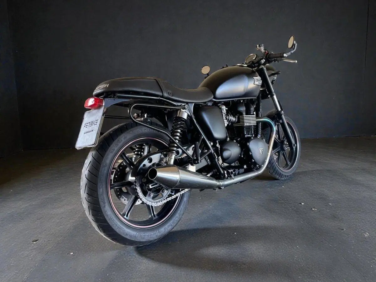 Triumph Bonneville SE (2009 - 13) (4)