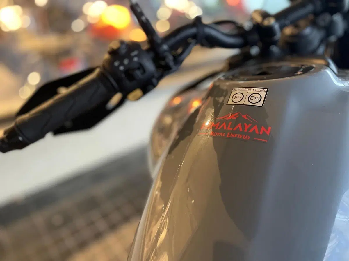 Royal Enfield Himalayan 450 (2024 - 26) (8)