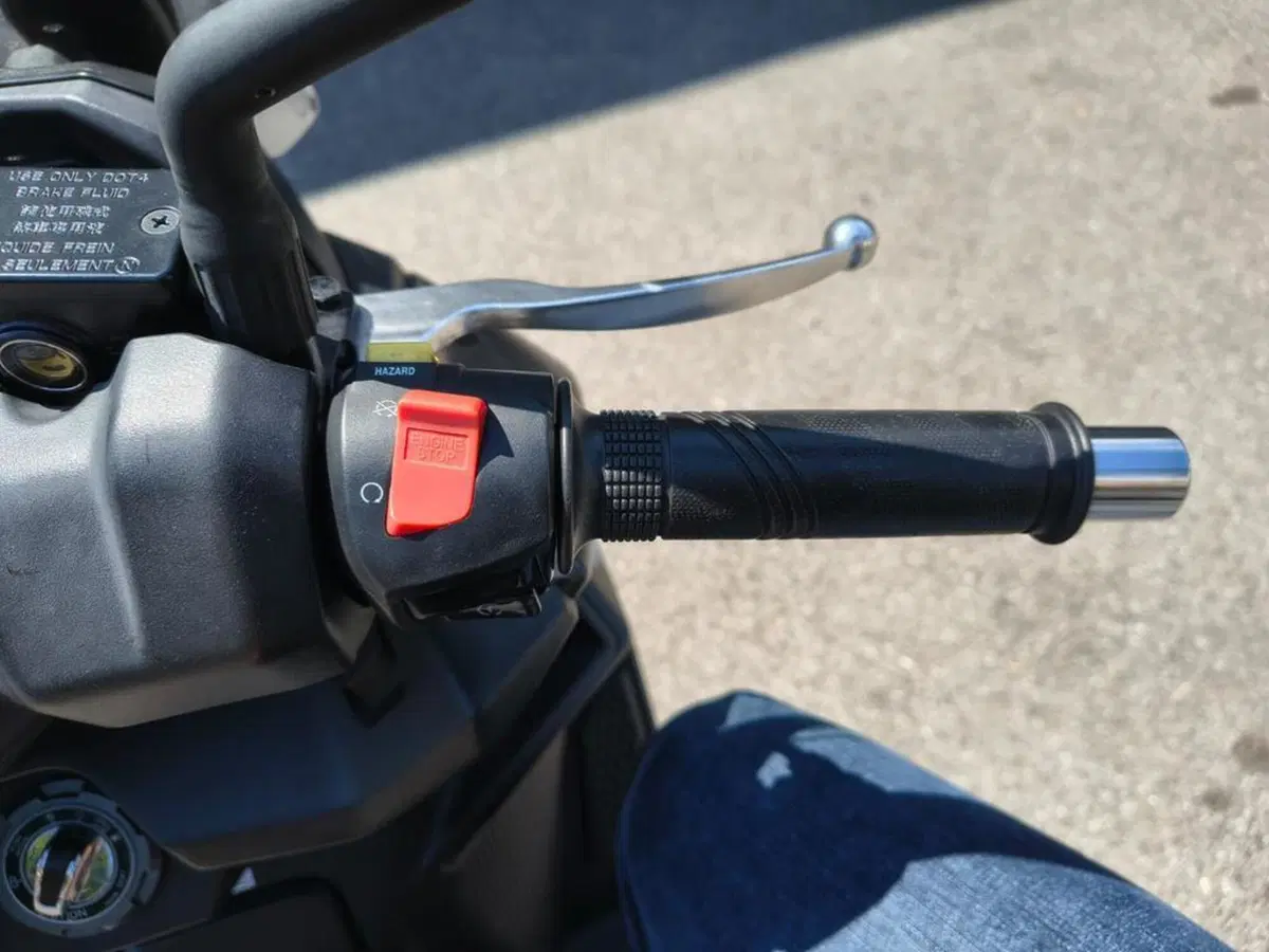 Sym Joyride 300 (2022 - 24) (4)