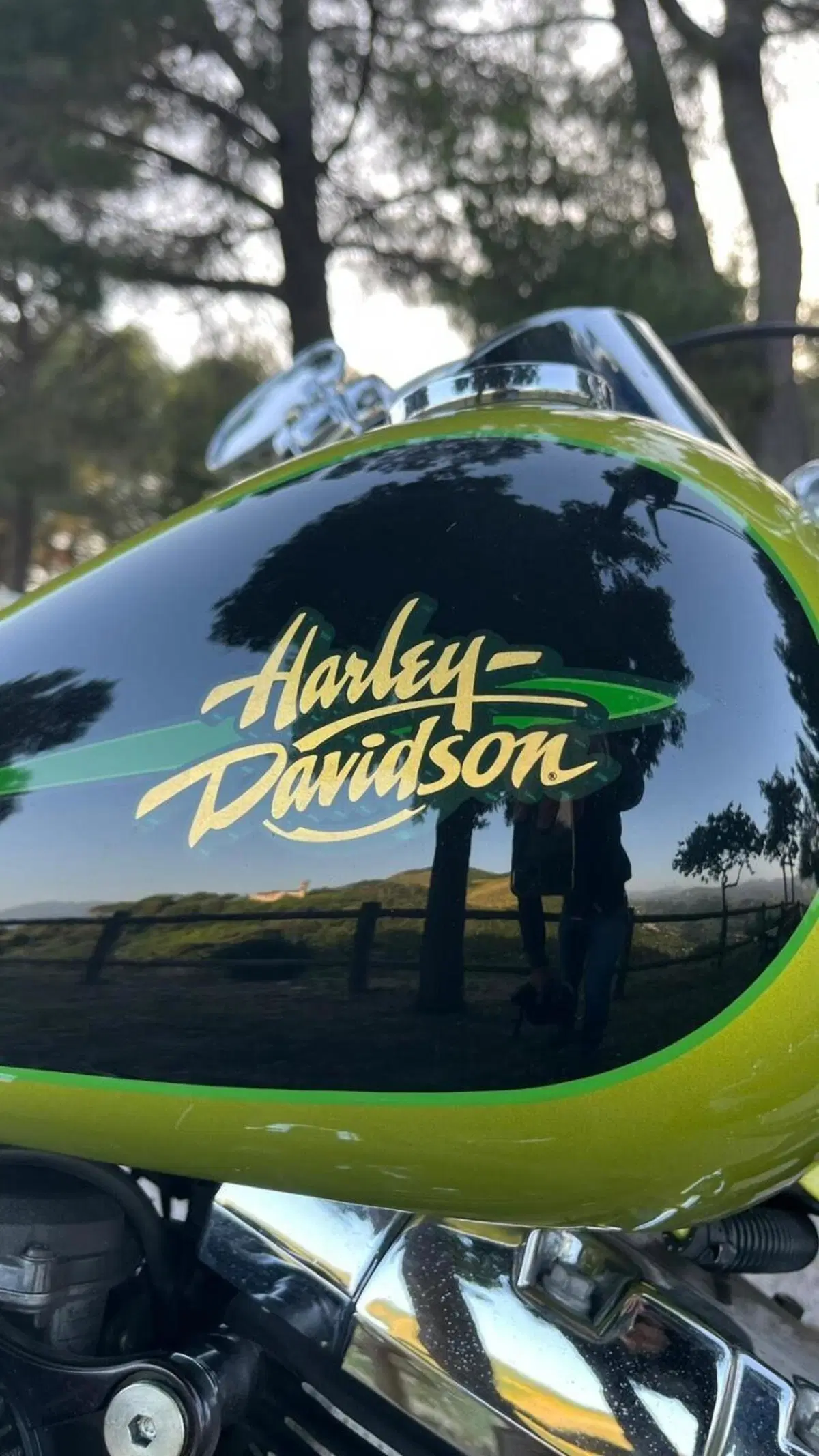 Harley-Davidson 1450 Springer (2001 - 03) - FXSTS (2)
