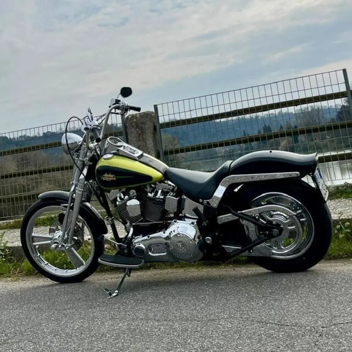 Harley-Davidson 1450 Springer (2001 - 03) - FXSTS (3)