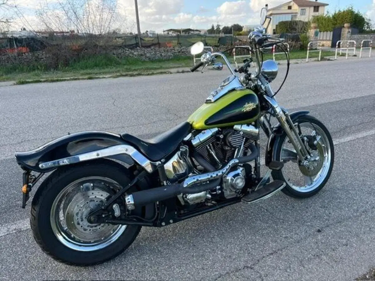 Harley-Davidson 1450 Springer (2001 - 03) - FXSTS (4)