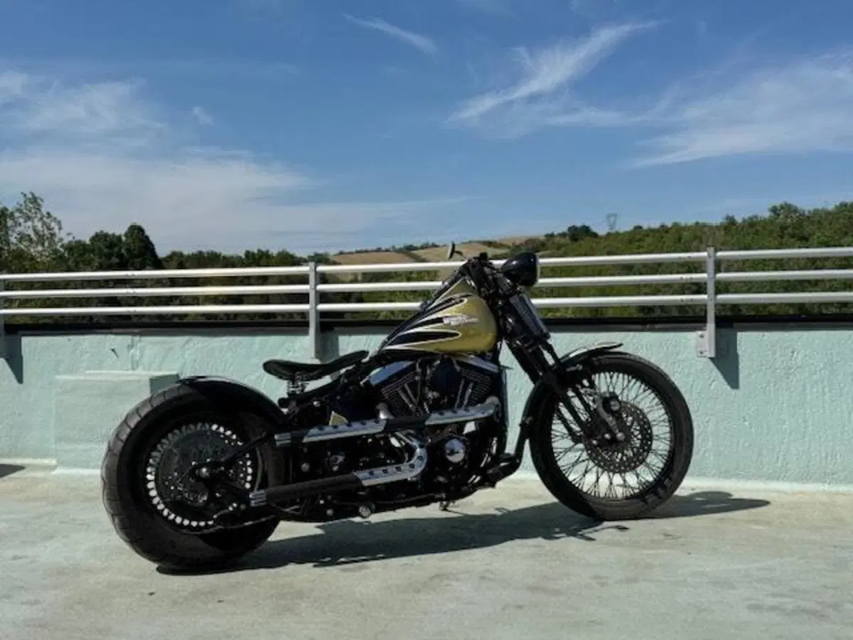 Harley-Davidson 1340 Bad Boy (1995 - 99)