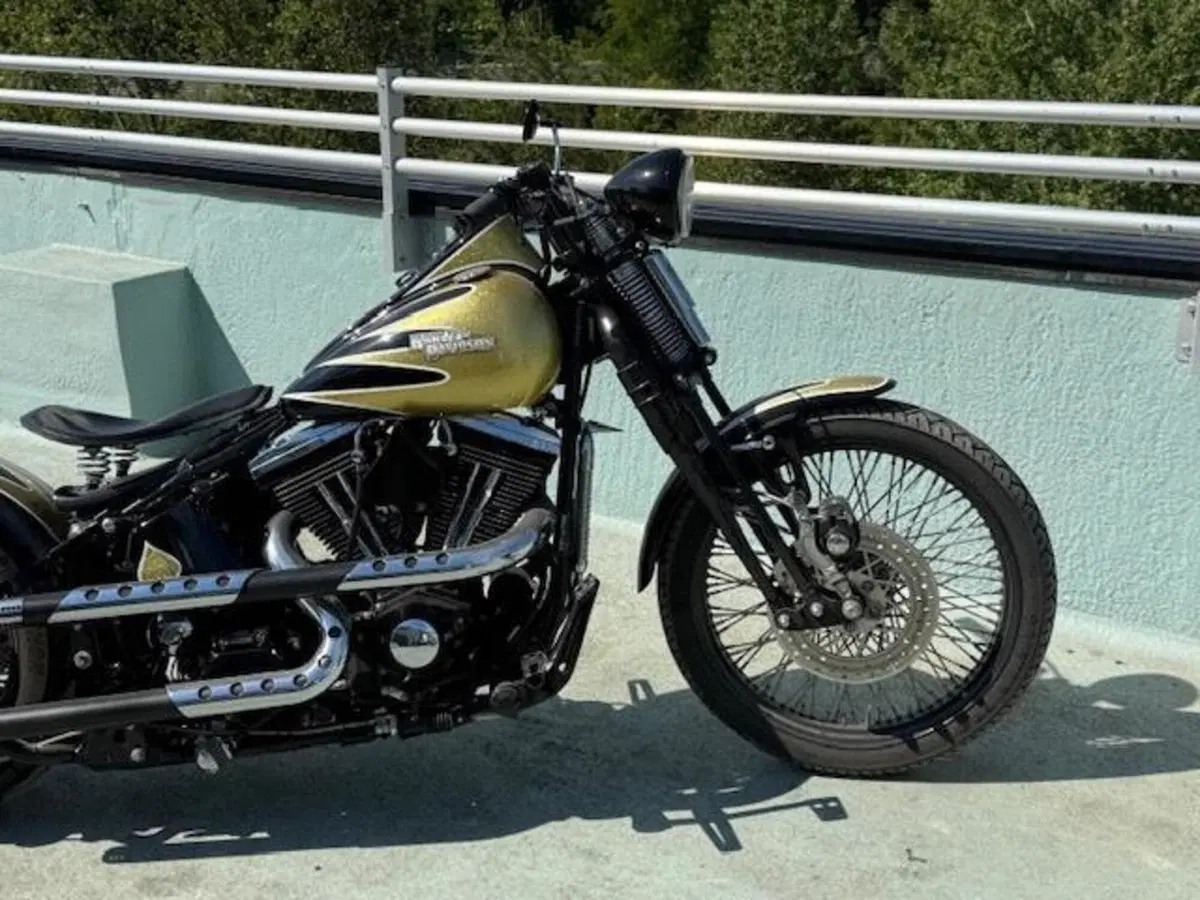 Harley-Davidson 1340 Bad Boy (1995 - 99) (2)