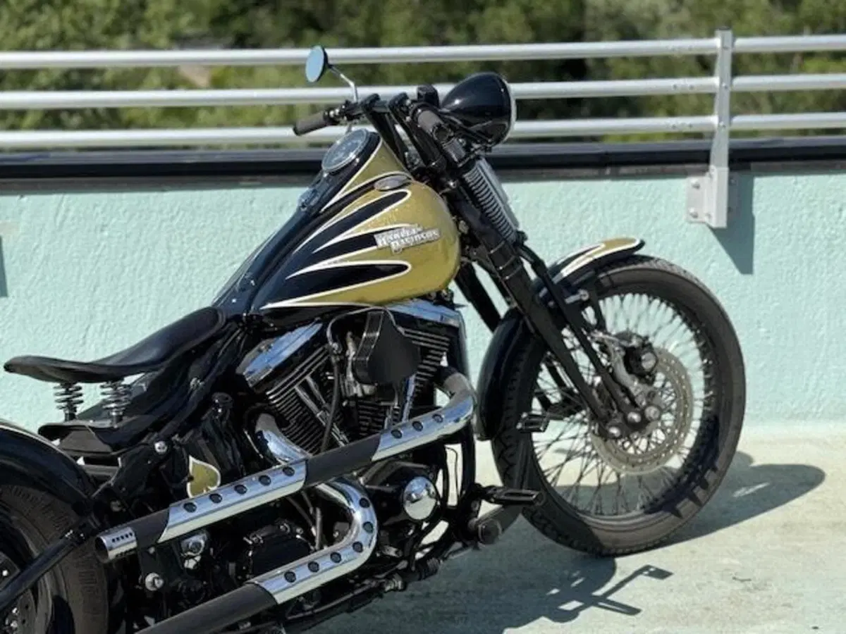 Harley-Davidson 1340 Bad Boy (1995 - 99) (3)
