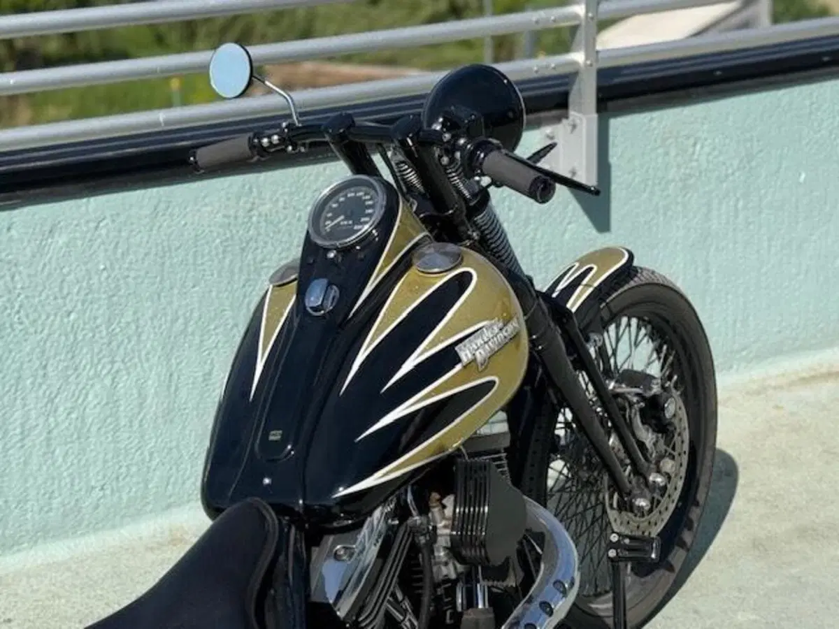 Harley-Davidson 1340 Bad Boy (1995 - 99) (5)