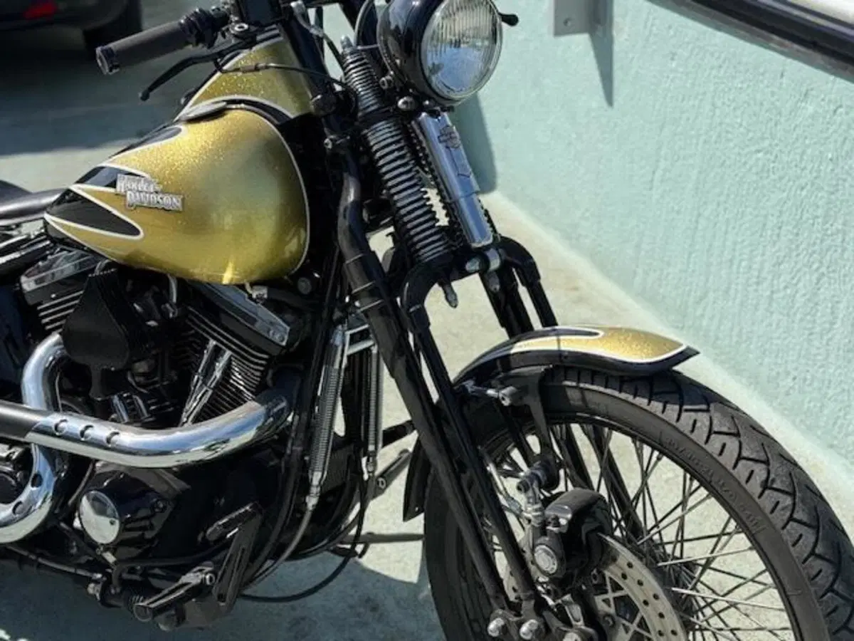 Harley-Davidson 1340 Bad Boy (1995 - 99) (6)