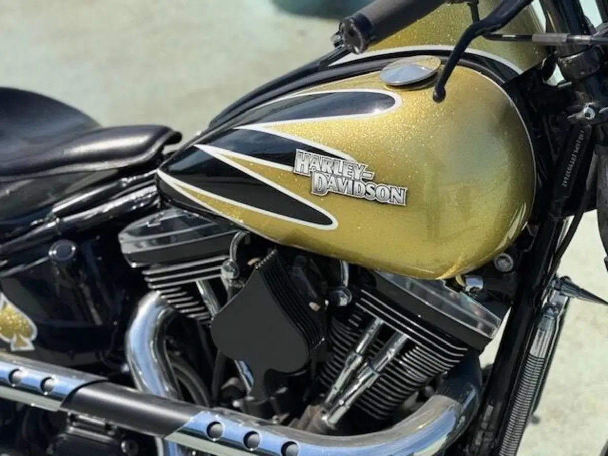 Harley-Davidson 1340 Bad Boy (1995 - 99) (7)