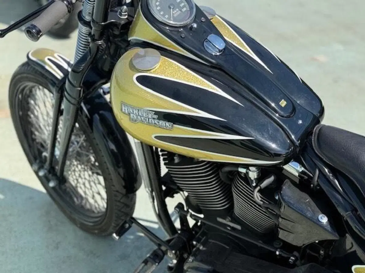 Harley-Davidson 1340 Bad Boy (1995 - 99) (10)
