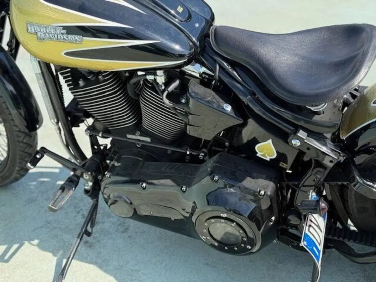 Harley-Davidson 1340 Bad Boy (1995 - 99) (11)