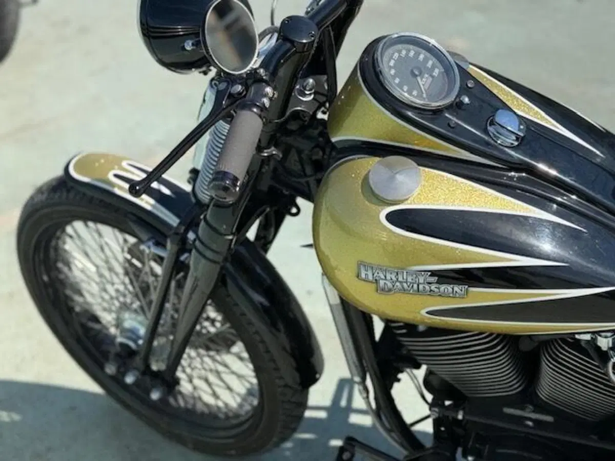 Harley-Davidson 1340 Bad Boy (1995 - 99) (12)