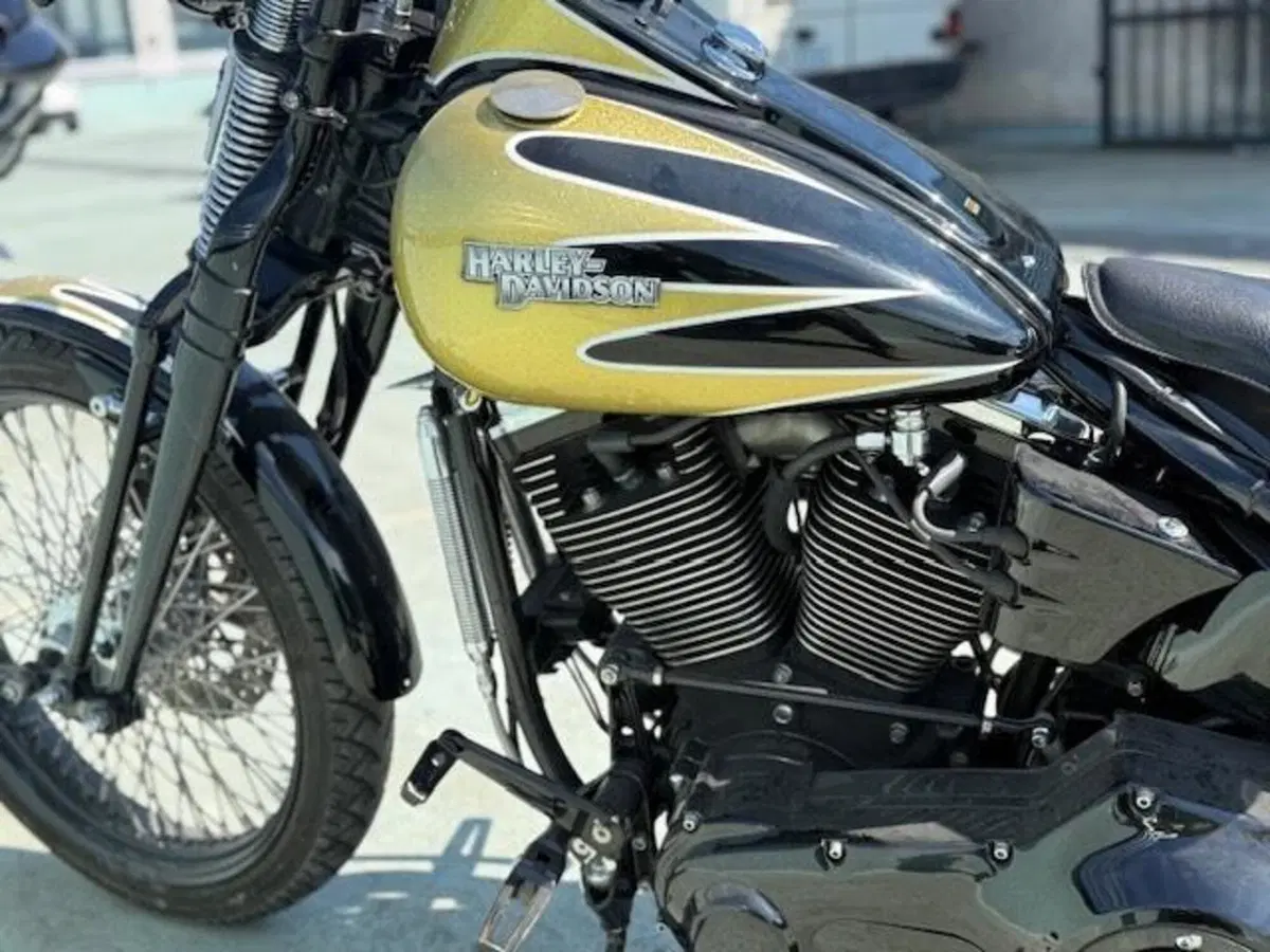 Harley-Davidson 1340 Bad Boy (1995 - 99) (13)