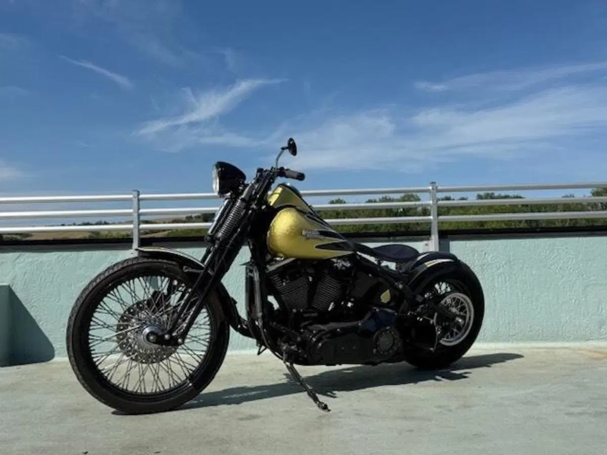 Harley-Davidson 1340 Bad Boy (1995 - 99) (14)