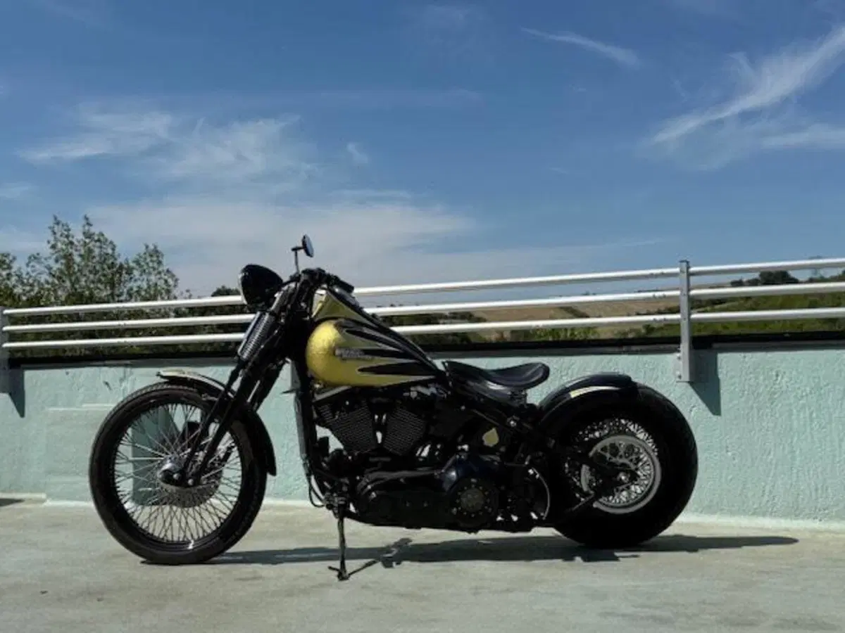 Harley-Davidson 1340 Bad Boy (1995 - 99) (15)