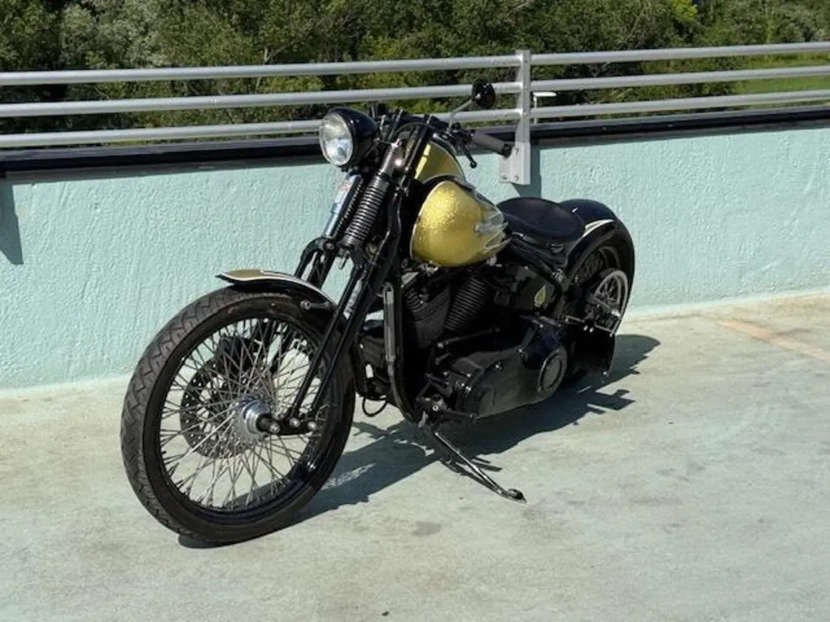 Harley-Davidson 1340 Bad Boy (1995 - 99) (16)