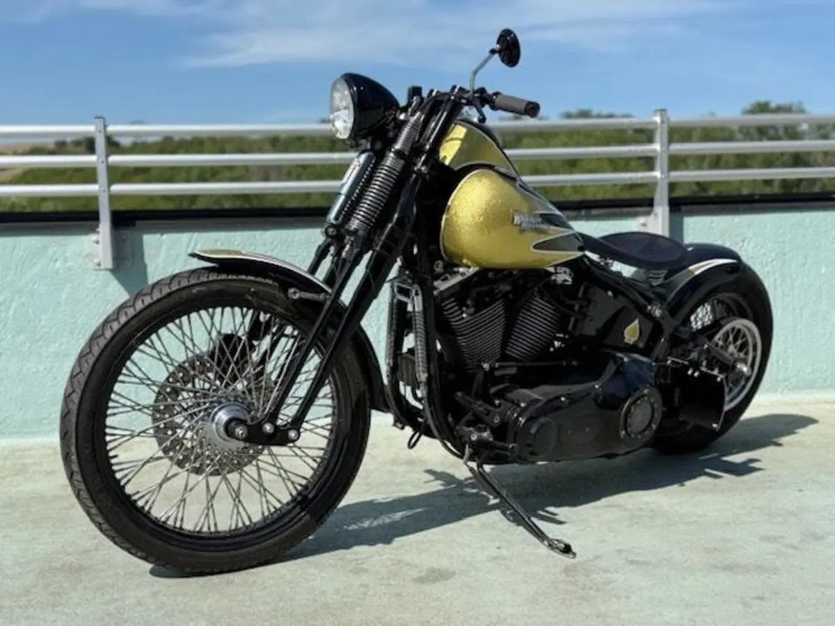 Harley-Davidson 1340 Bad Boy (1995 - 99) (17)
