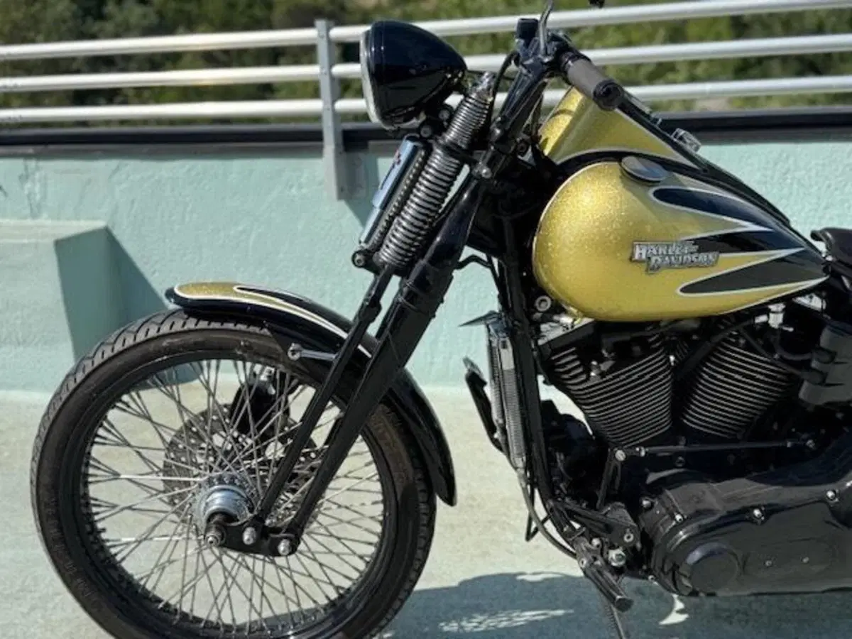 Harley-Davidson 1340 Bad Boy (1995 - 99) (18)