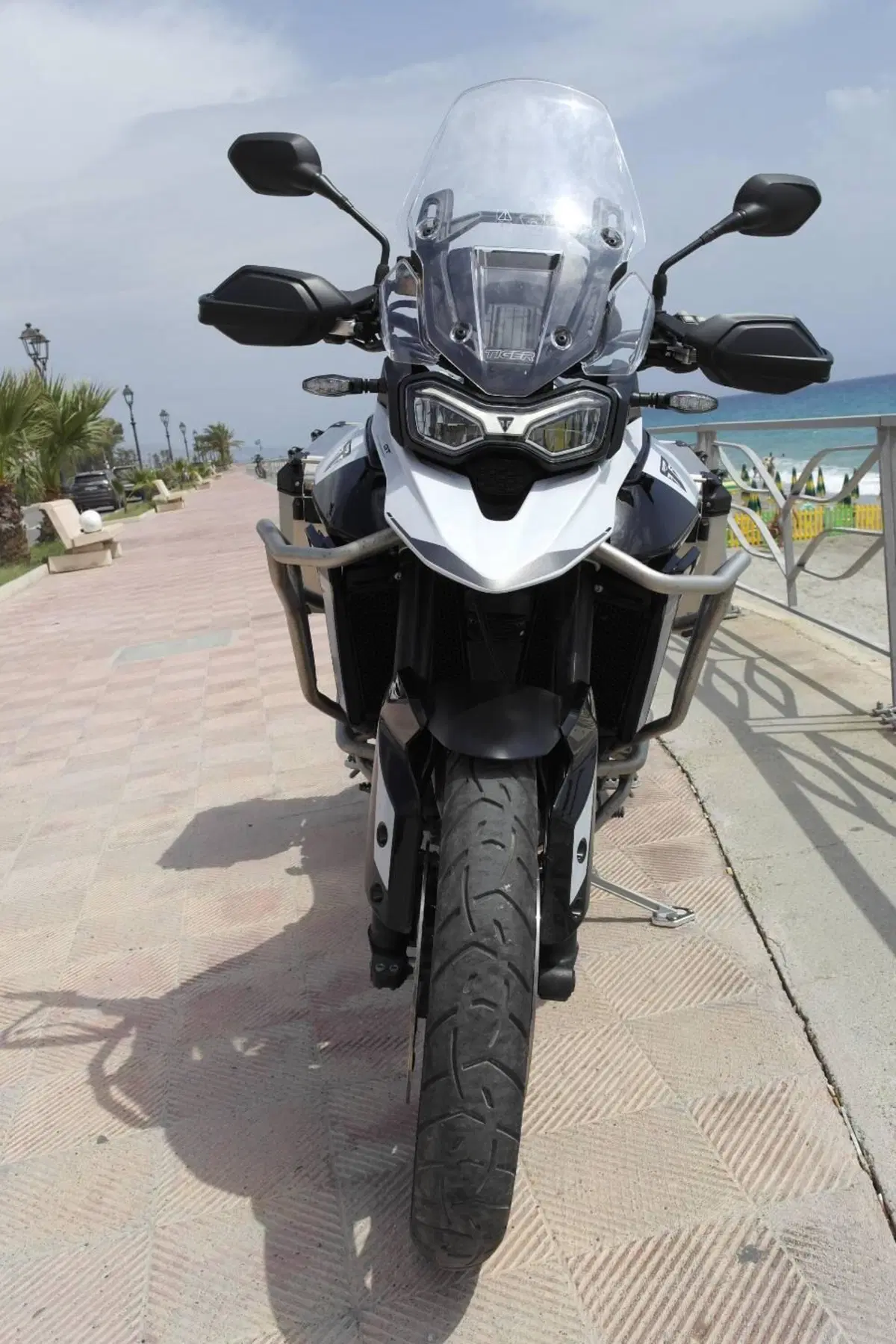 Triumph Tiger 900 GT (2024 - 26) (5)