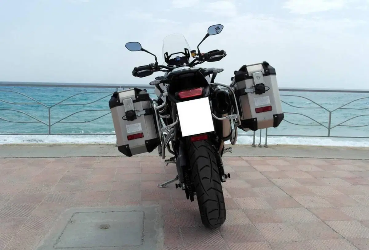 Triumph Tiger 900 GT (2024 - 26) (6)