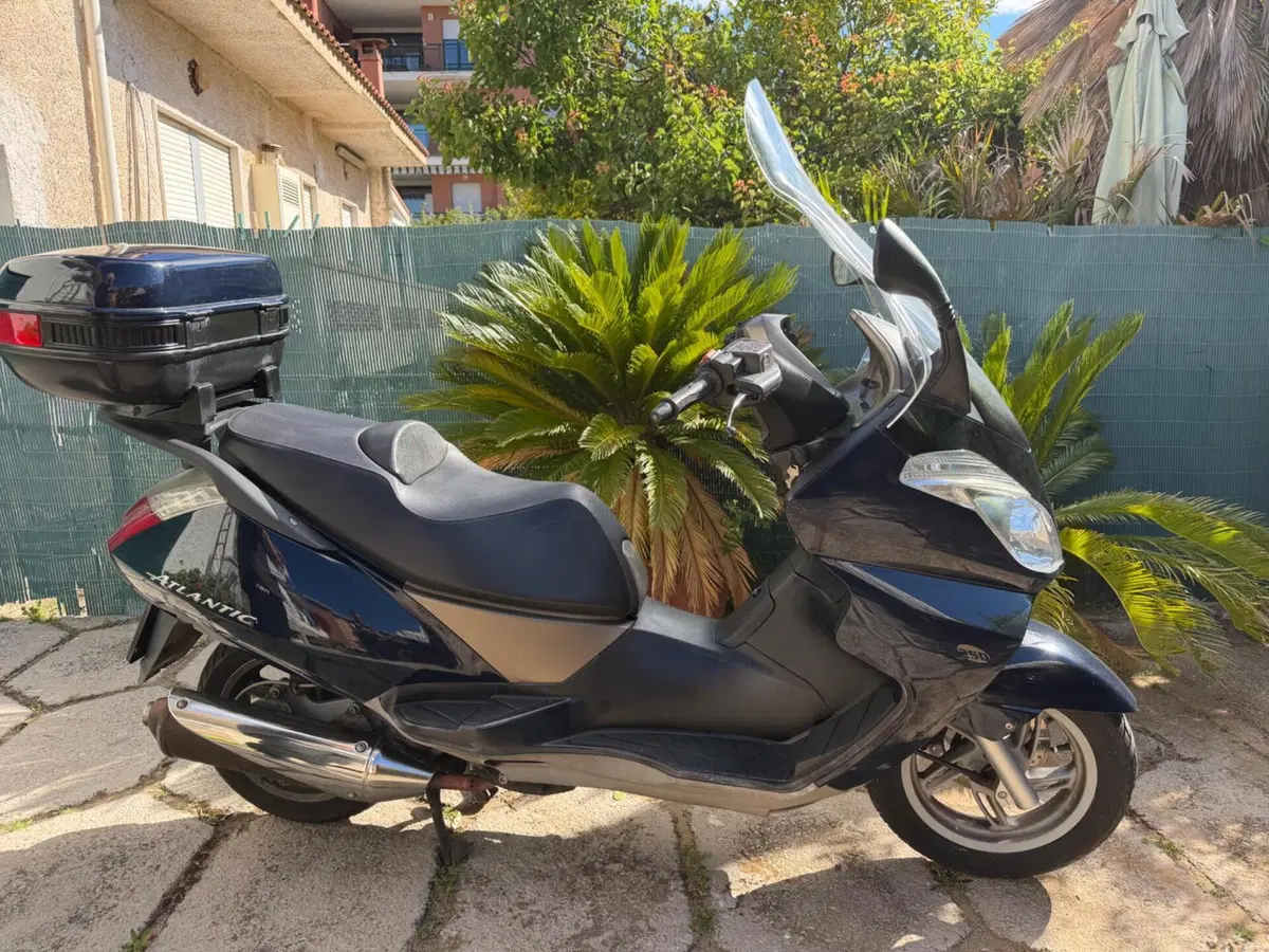 Aprilia Atlantic 250 (2004 - 11) (6)