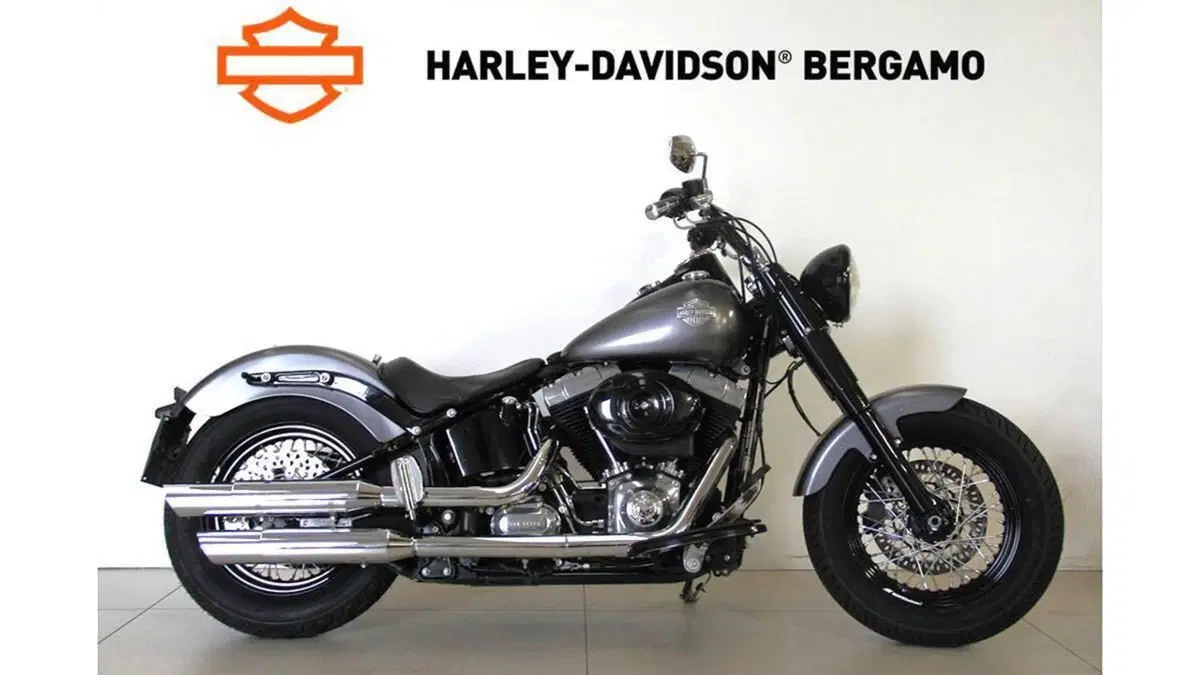 Vendo Harley-Davidson 1690 Slim (2011 - 16) - FLS usata a San Paolo d ...