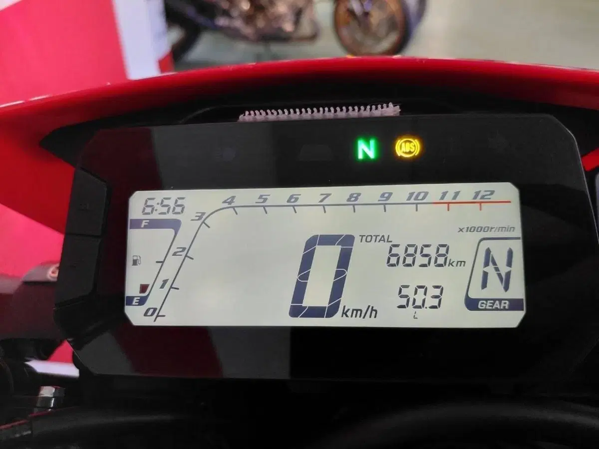 Honda CRF 300L (2021 - 24) (3)