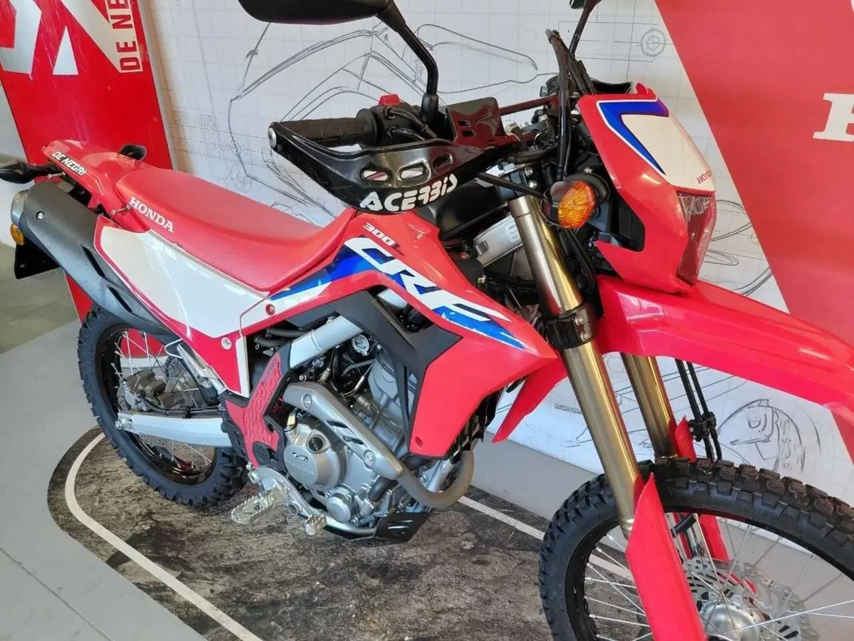 Honda CRF 300L (2021 - 24) (4)