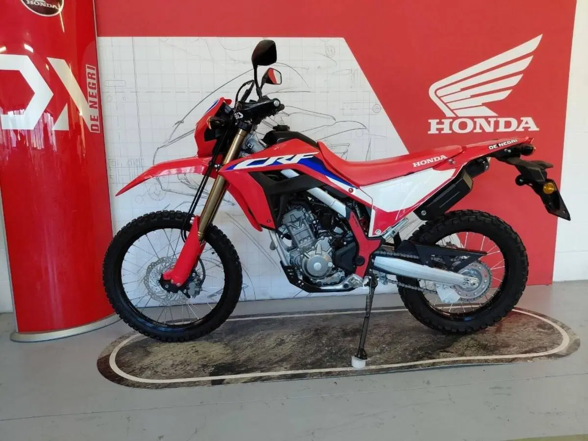 Honda CRF 300L (2021 - 24) (5)