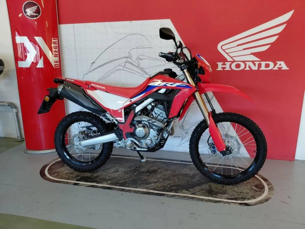 Honda CRF 300L (2021 - 24) (6)