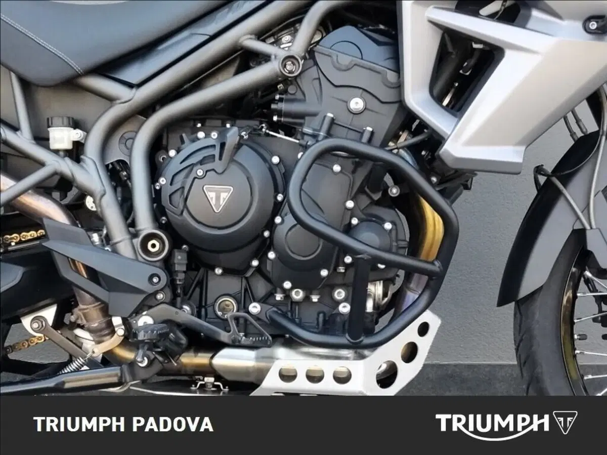 Triumph Tiger 800 XCx (2015 - 17) (3)