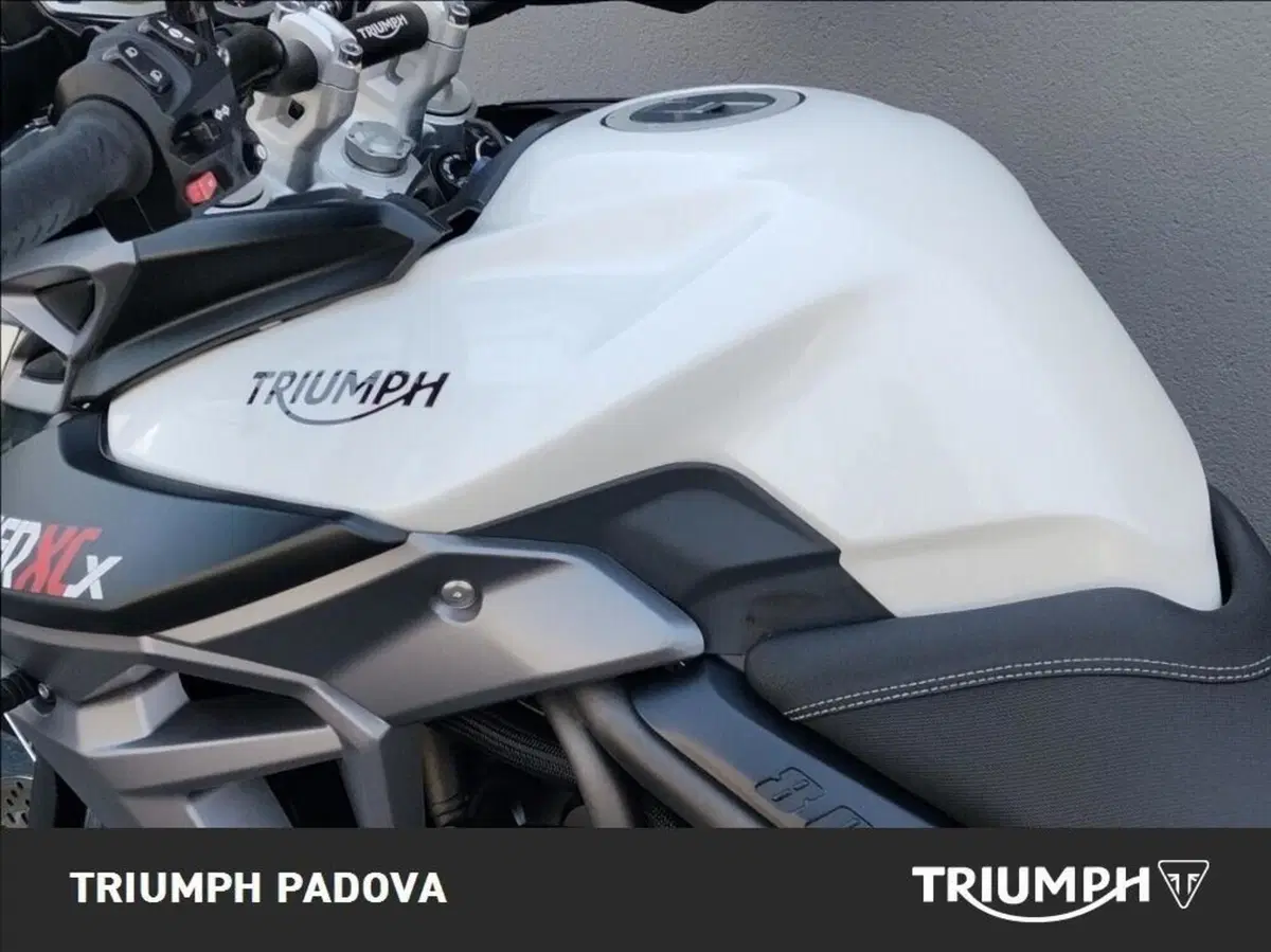 Triumph Tiger 800 XCx (2015 - 17) (9)