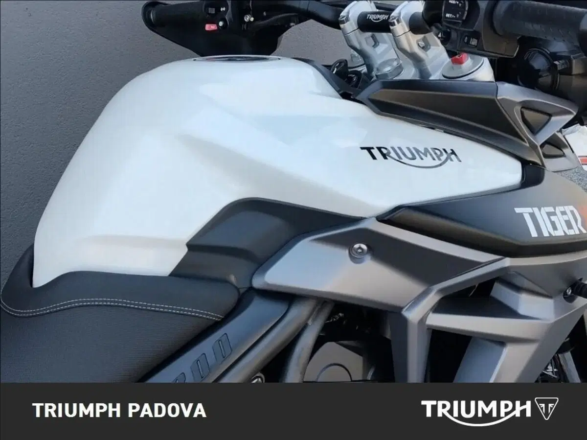 Triumph Tiger 800 XCx (2015 - 17) (4)