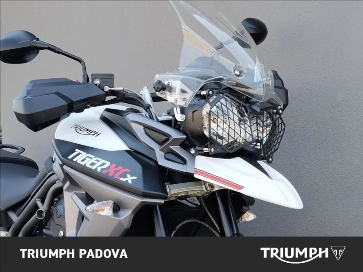 Triumph Tiger 800 XCx (2015 - 17) (5)