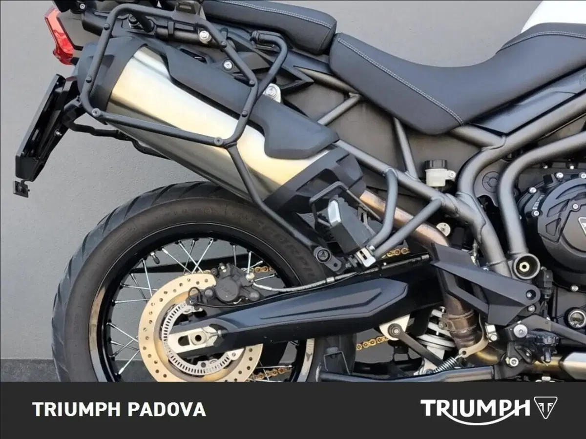 Triumph Tiger 800 XCx (2015 - 17) (2)