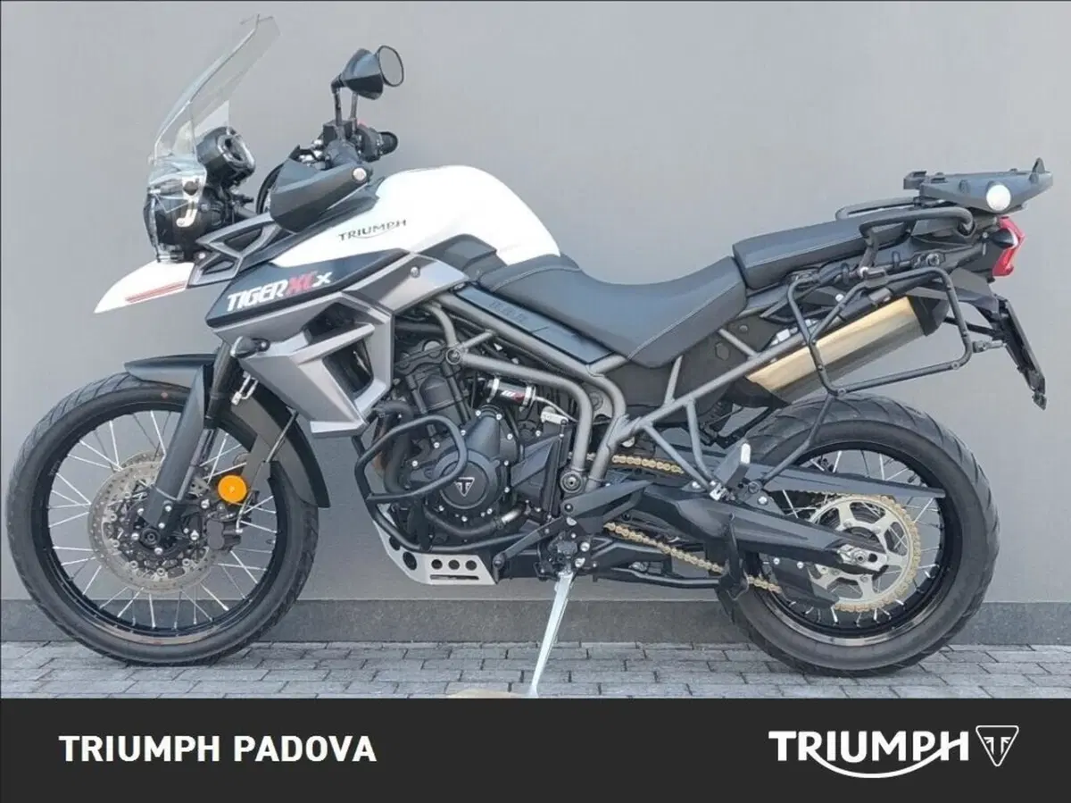 Triumph Tiger 800 XCx (2015 - 17) (6)