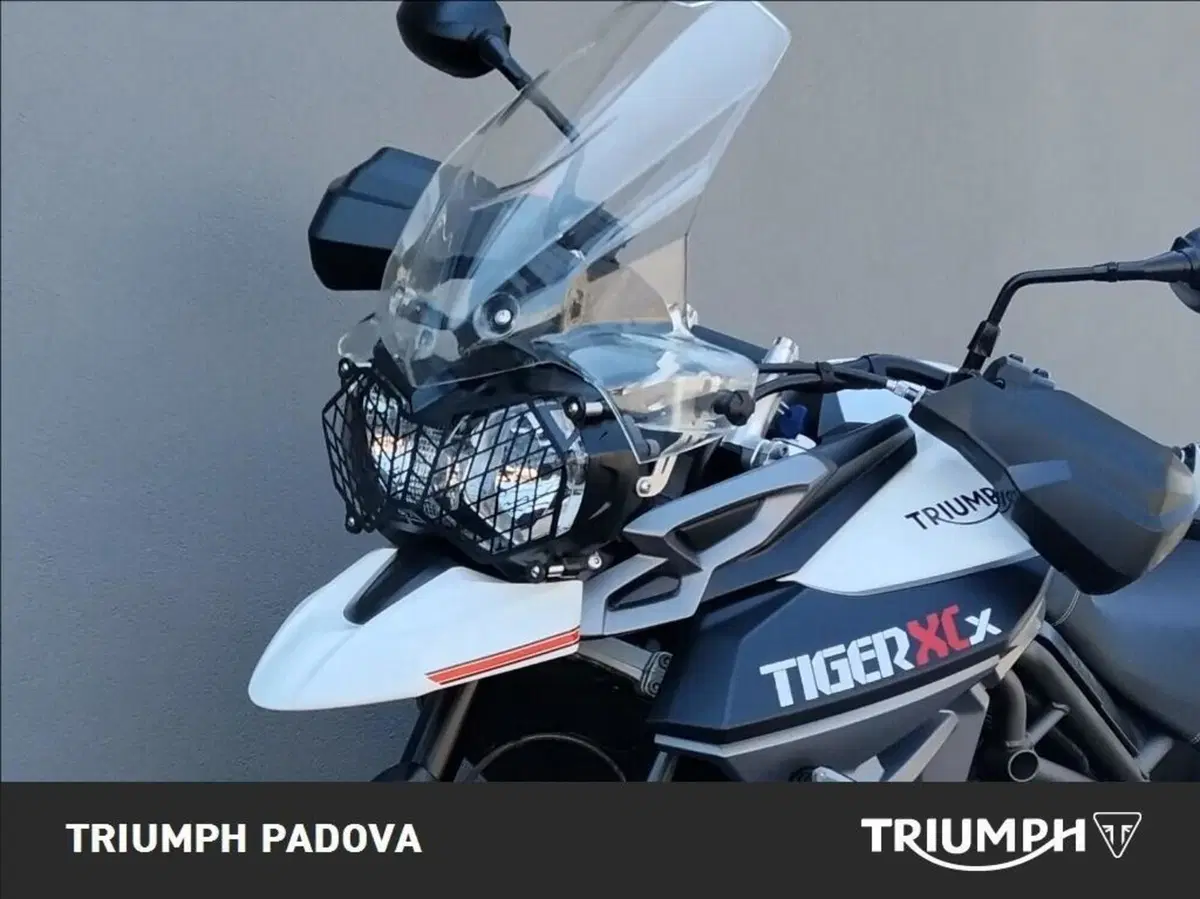 Triumph Tiger 800 XCx (2015 - 17) (10)
