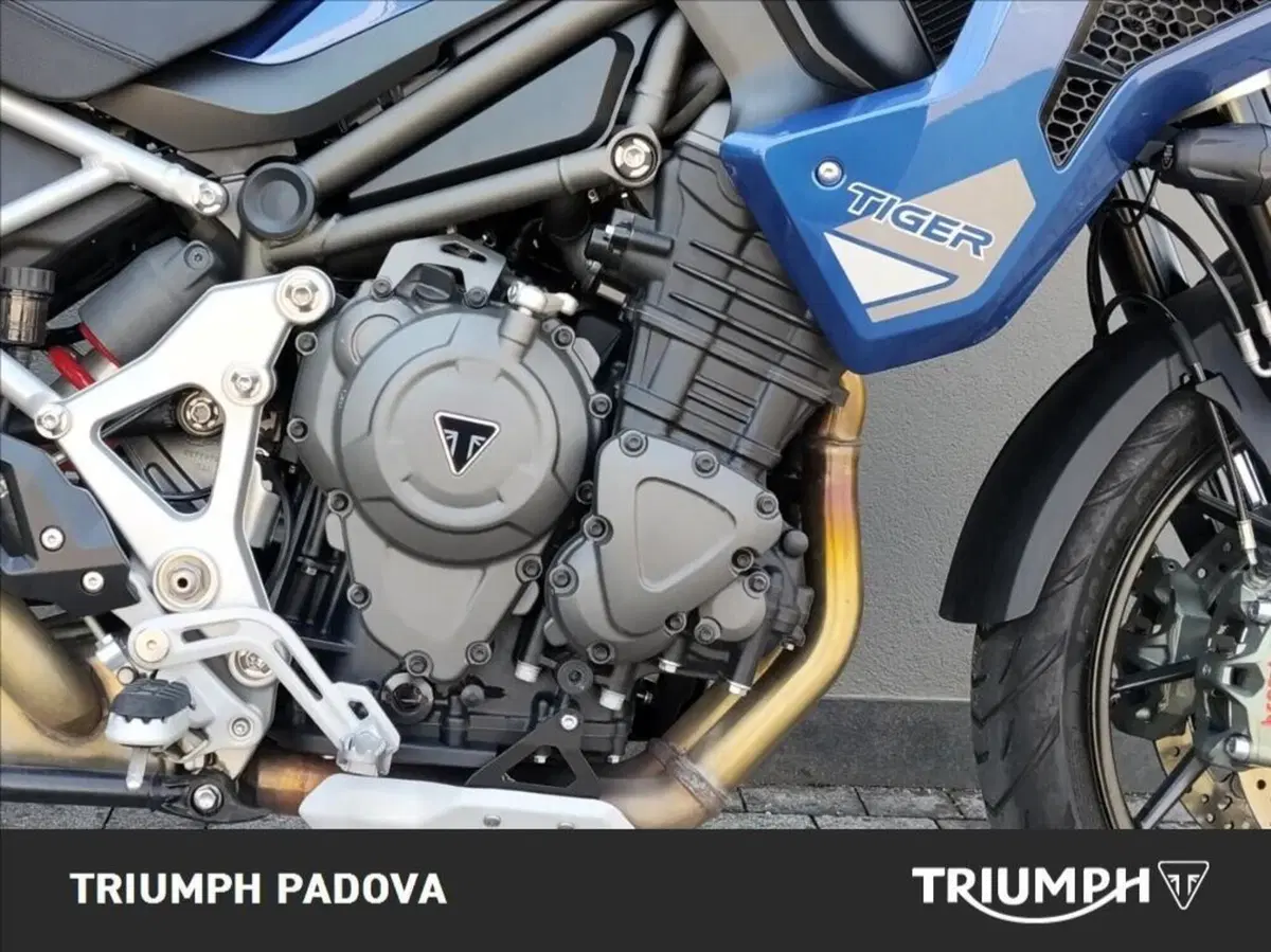 Triumph Tiger 1200 GT Pro (2022 - 23) (3)