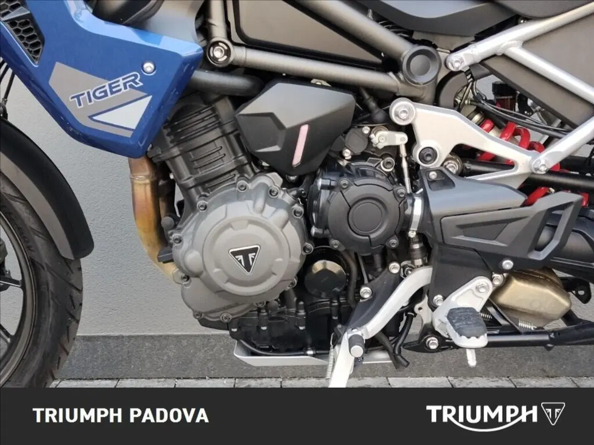 Triumph Tiger 1200 GT Pro (2022 - 23) (8)