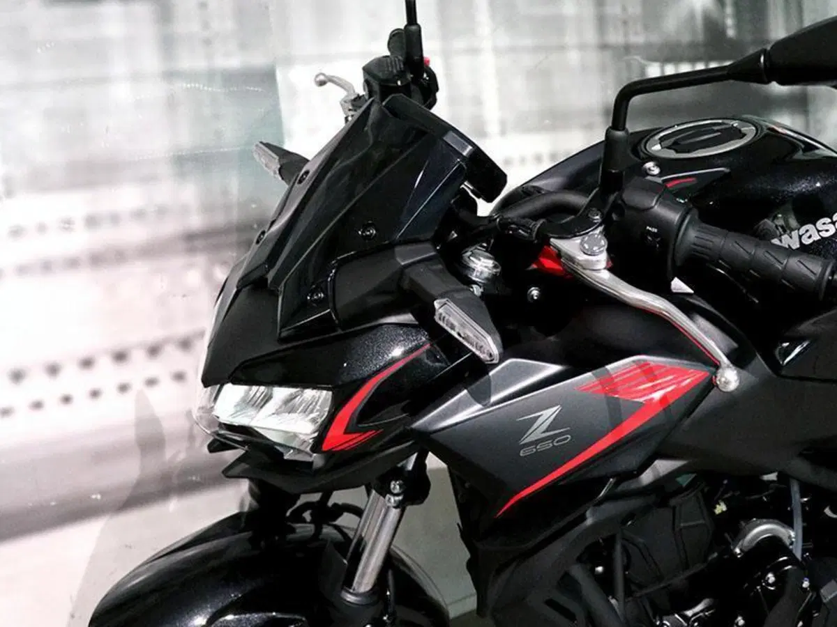 Kawasaki Z 650 (2021 - 24) (8)
