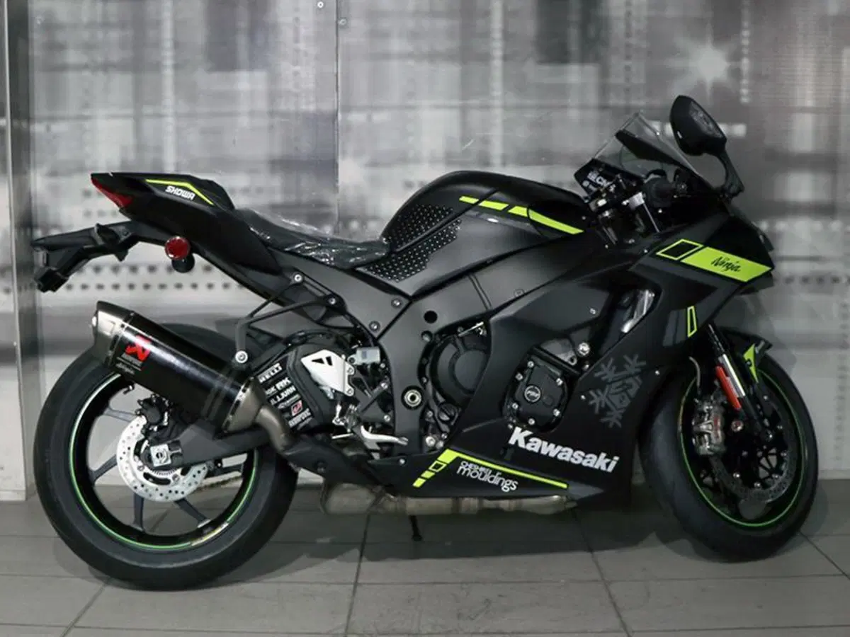 Kawasaki Ninja 1000 SX (2021 - 24) (8)