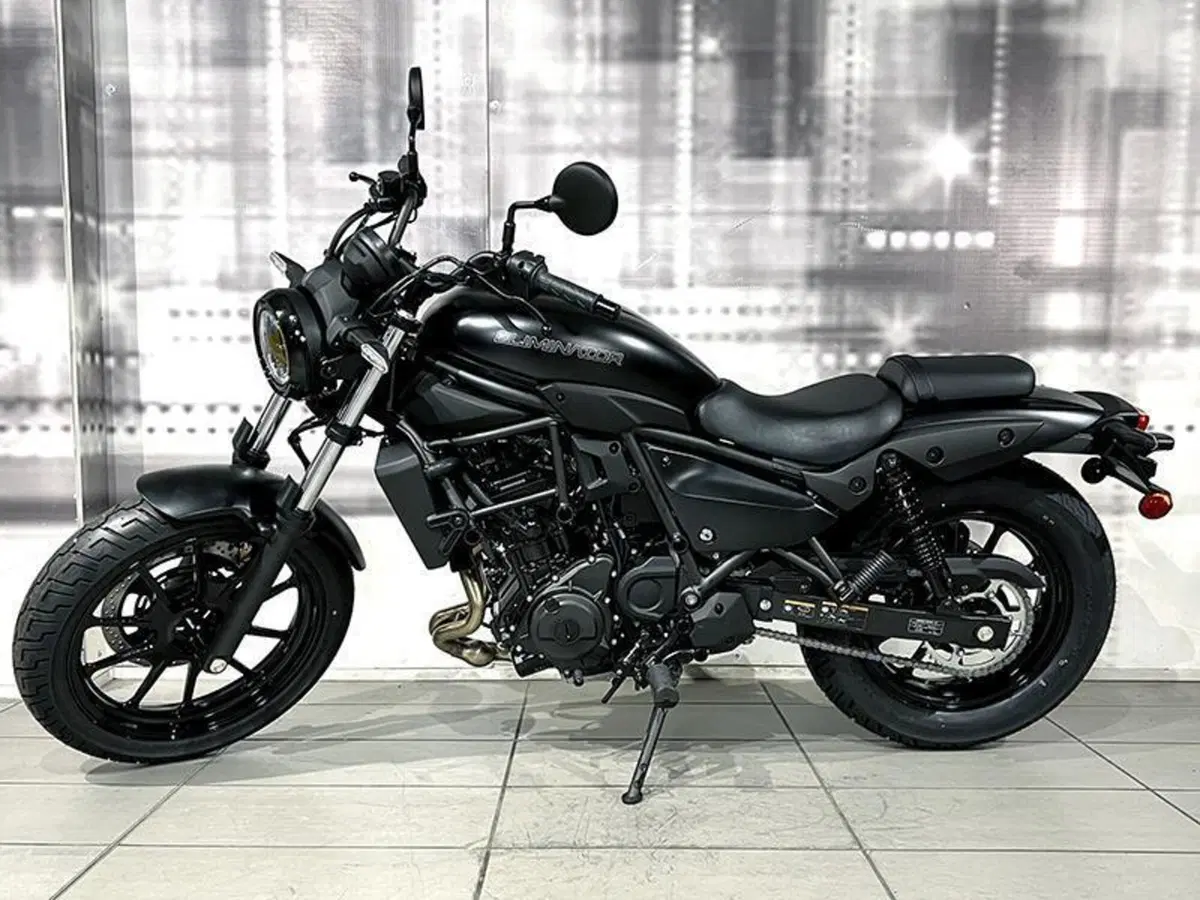 Kawasaki Eliminator 500 (2024 - 26) (6)