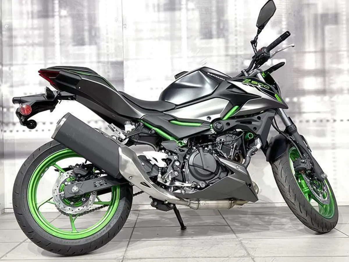 Kawasaki Z 500 SE (2024 - 26) (7)